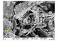 Ho2O3 Rare Earth Nanoparticles CAS 12055-62-8 For Metal Halogen Lamp Additives